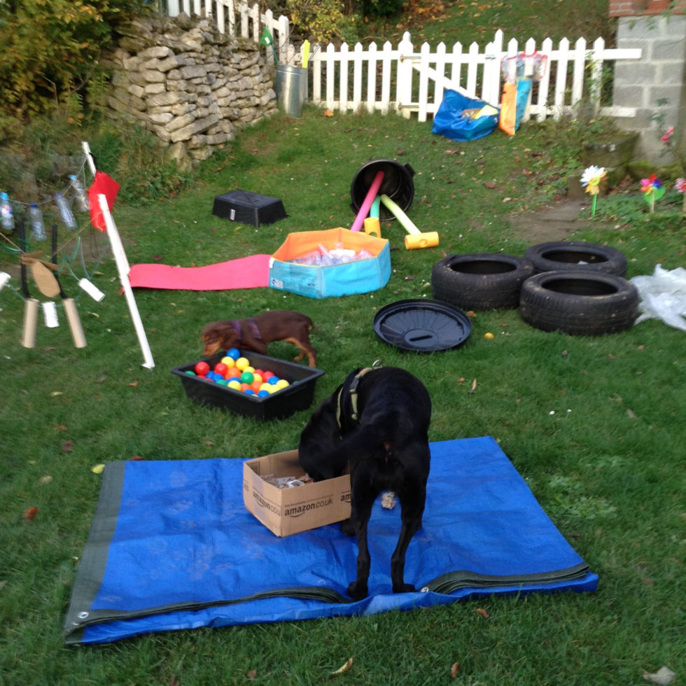 Puppy classes Happy And Relaxed Dogs